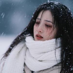 半生风雪半生伤 (恩恩 Remix)