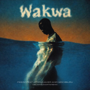 Wakwa (feat. AfroQuakeR, Nes Mburu)