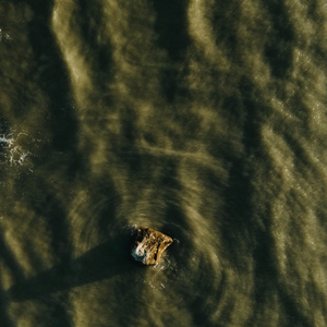 Remember the Good Days