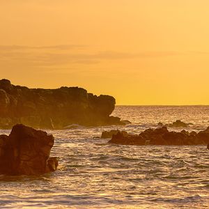 忘不了你的好 (烟嗓版)