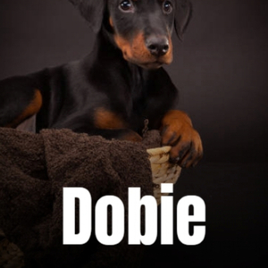 Dobie