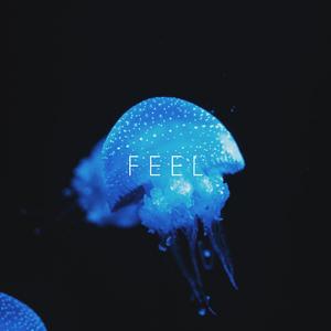 Feel