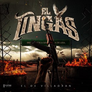 El Tingas