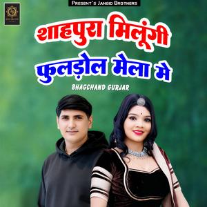 Shahpura Milungi Fuldol Mela Me