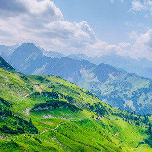 安静且温柔（优美轻音乐）