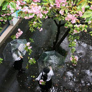 拨开天空的乌云（手势舞）