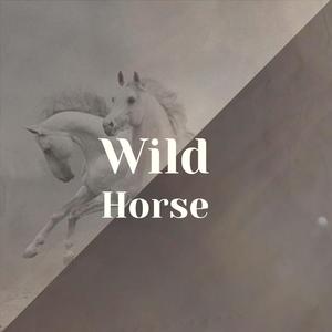 Wild Horse