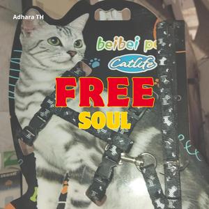 FREE SOUL