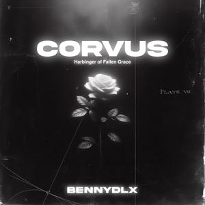 Corvus