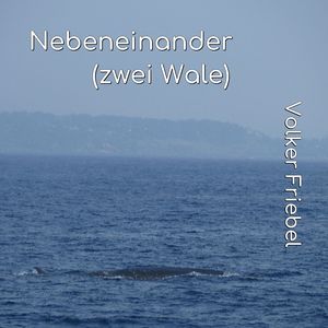 Nebeneinander (zwei Wale)