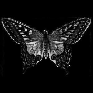 Free*Butterfly*Dark Trap Type Beat 暗黑风格的beat