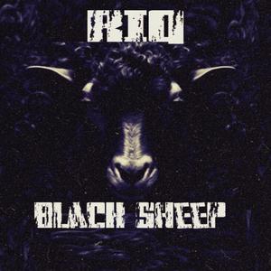 Black Sheep