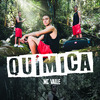 MC Valle - Química