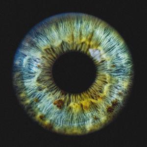 J̶̢̞̺͉̱̰̲̋͆͋ḯ̸̺͜ń̷̨̬̾͗̈́c̴̭͔̞̬̥̭̥͙̋͆̀̏͋̓́h̴̡̦̤̗͍̻̿͛̊̋͝ů̷̝̬̙̜̼ͅͅͅr̴͍̖̪͙̳͔̥̊̕a̵͇͖̦͚̻͙͑̈́͊͑͊͛̈̋ͅk̵̝̦̫̱͚̟͓͊̄̏̈́̏̊͠ȋ̷̺͙͎̪̗̲̮̄̌̍̆͐̚̕