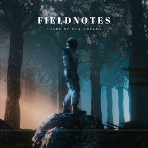 Fieldnotes