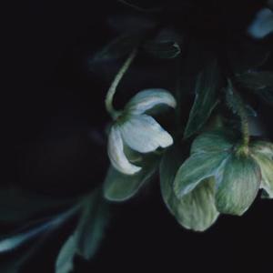 冥想音乐 放下烦恼