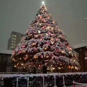 如愿(cover王菲）