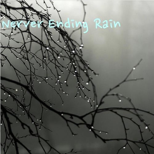 Never Ending Rain