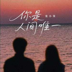 你是人间唯一