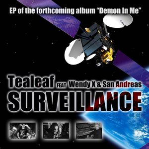 Surveillance (Original)