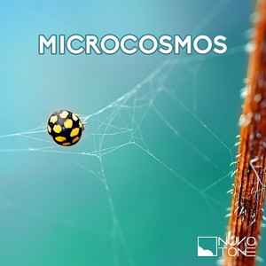 Microcosmos