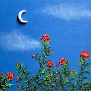 楼顶上的小斑鸠