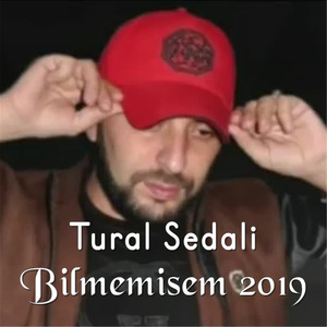 Bilmemisem 2019