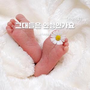 그대들은 인형인가요