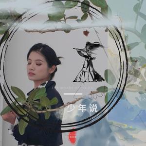 少年说