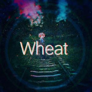Wheat（麦子）