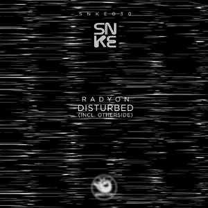 Disturbed (Original Mix)