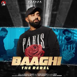 Baaghi