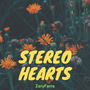 Stereo Hearts