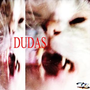 DUDAS