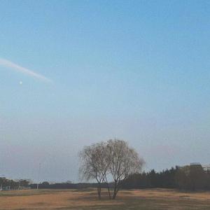 On the Wane Prod.tired