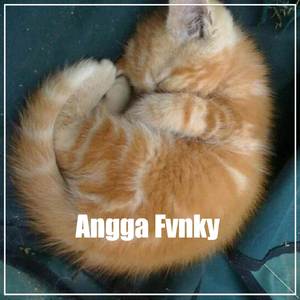 DJ DIGELENG GELENG X DALINDA OLD VIRAL TIKTOK