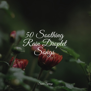 Forest, Busy, Animals