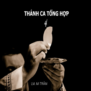 Trước Hết