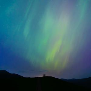 她追逐着月光的尽头