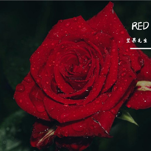 Free Dark Tarp Beat - "Red"