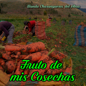 Fruto de Mis Cosechas