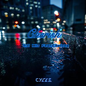 Cherish 2.0 Mix(Radio Edit)