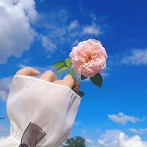 《竹笛幽韵伴竹林风声》