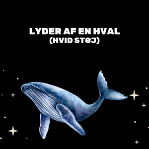 Hval Lyder Til At Sove