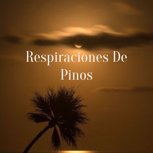 Respiraciones De Pinos