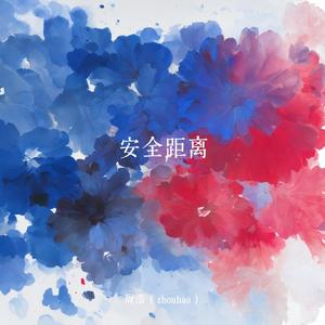 安全距离