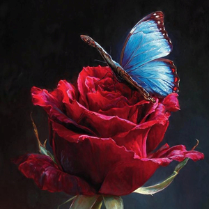 Mariposa Azul
