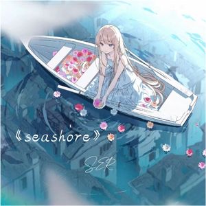 seashore（治愈大海版）