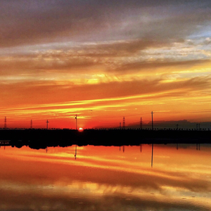 玖月花儿与筝-琵琶语（武聆音雄 remix）