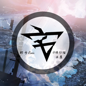 爆炒猫头鹰-邦卡Remix（宅院长_Zhai! remix）